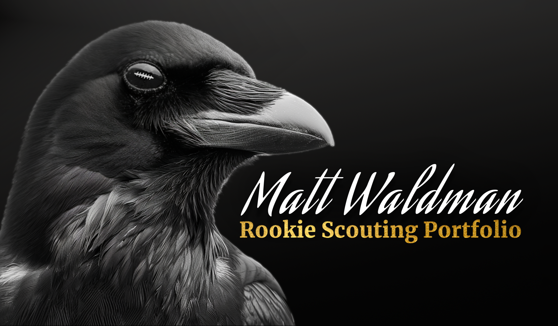 Rookie Scouting Portfolio cover