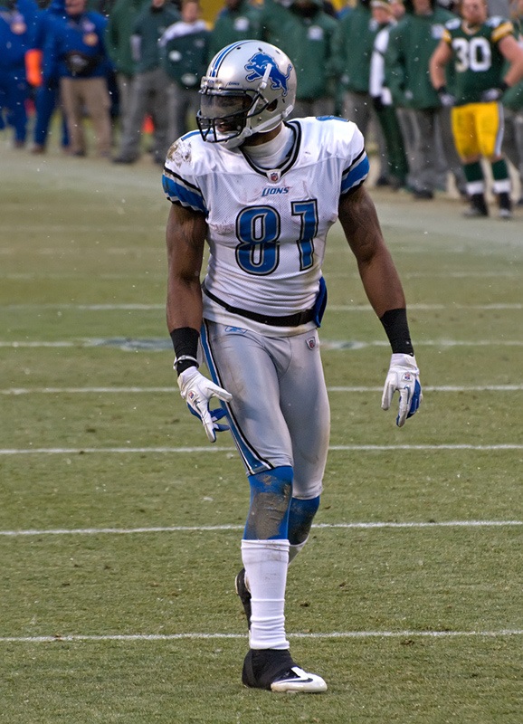 I'd start my fantasy season with Calvin Johnson, wouldn't you? Photo by Mike Morbeck. 